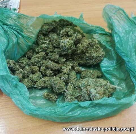 worek foliowy z marihuaną znalezioną w szafie zatrzymanego z Kłodzka.