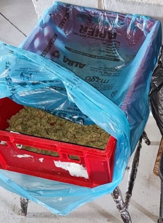 marihuana odnaleziona przez policjantów z Sosnowca