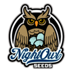 night-owl-seeds