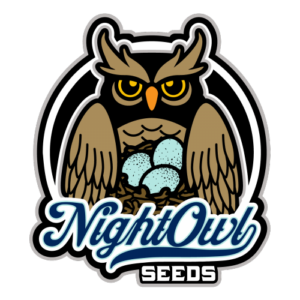 night-owl-seeds