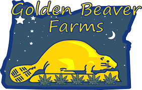 Golden Beaver Farms