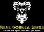 real gorilla seeds