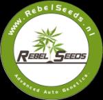 rebel seed