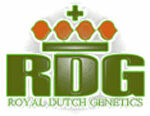 royal dutch genetics