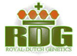 royal dutch genetics