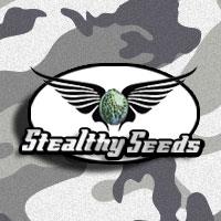 stealthy seeds