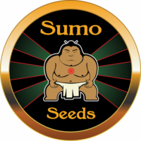 sumo-seeds