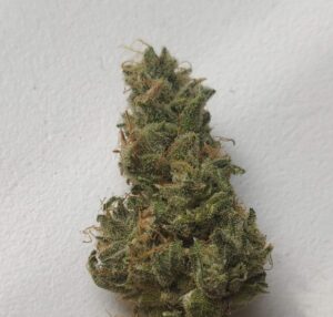 szczep marihuany snow cone