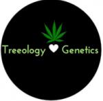 Treeology Genetics