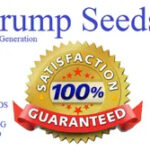 Trump Seeds