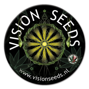 vision-seeds