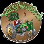 wackyweedseeds logo