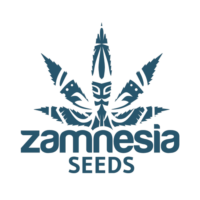 zamnesia seeds