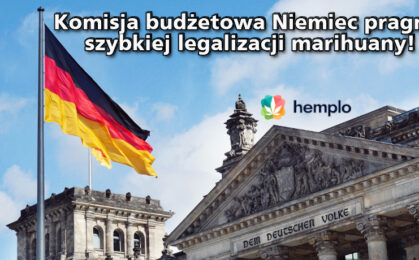 legalizacja marihuany w Niemczech