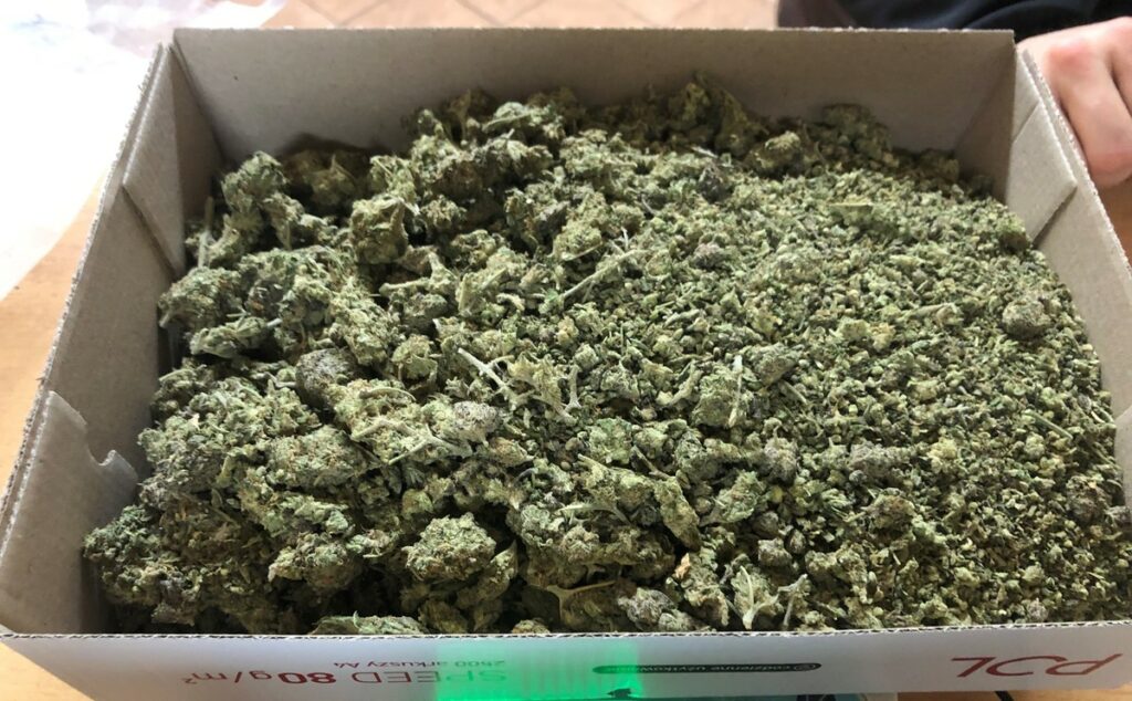 marihuana w pudełku