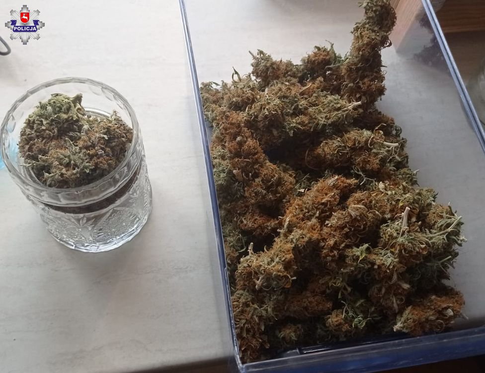 marihuana w szklanych naczyniach