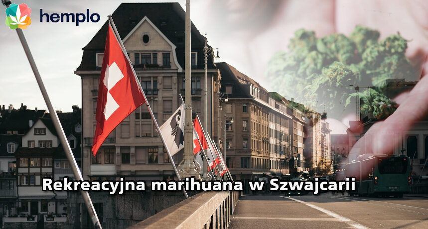 rekreacyjna marihuana w Szwajcarii