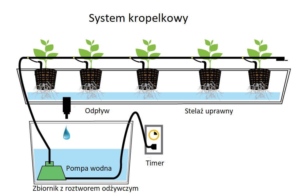 schemat systemu kropelkowego Drip Irrigation System