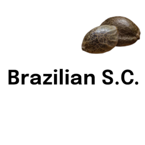 Brazilian S.C.