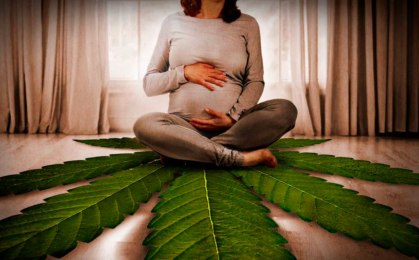 CBD i konopie a ciąża i płodność