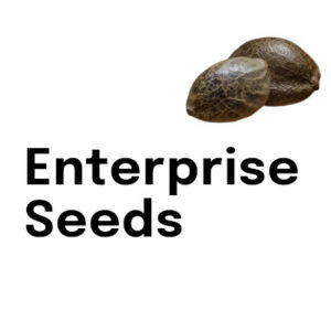 Enterprise Seeds