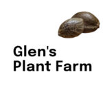 Glen's Plant Farm