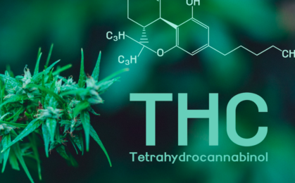 THC - tetrahydrokannabinol - czym jest