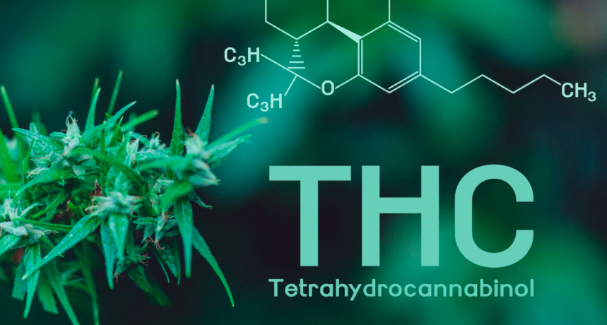 THC - tetrahydrokannabinol - czym jest