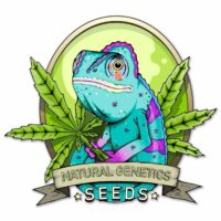 Natural Genetics Seeds