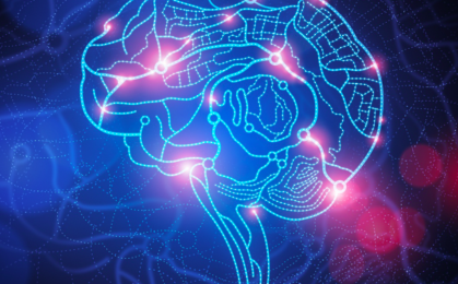 Układ endokannabinoidowy w mózgu