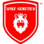 Wolf Genetics