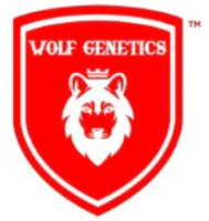 Wolf Genetics