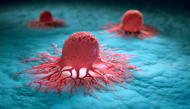 komórki nowotworowe