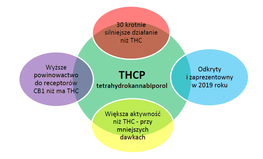 Właściwości i działanie THCP