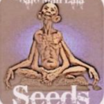Lala Seeds Logo