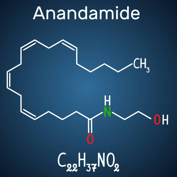 anandamid wzór chemiczny