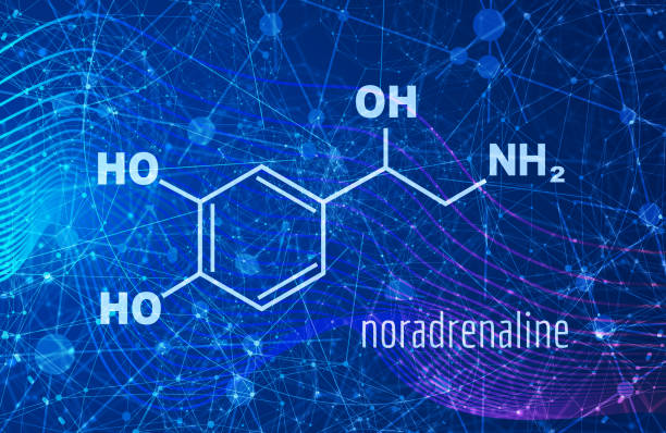 noradrenalina wzór chemiczny