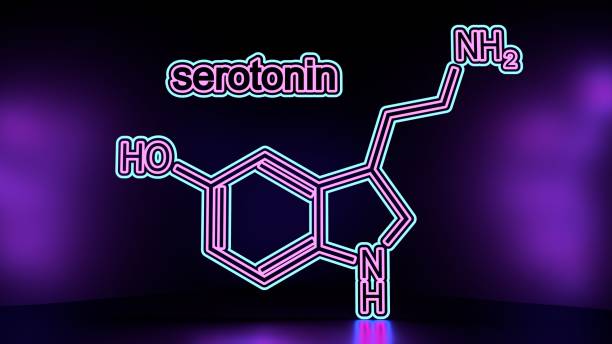 serotonina jako neuroprzekaźnik