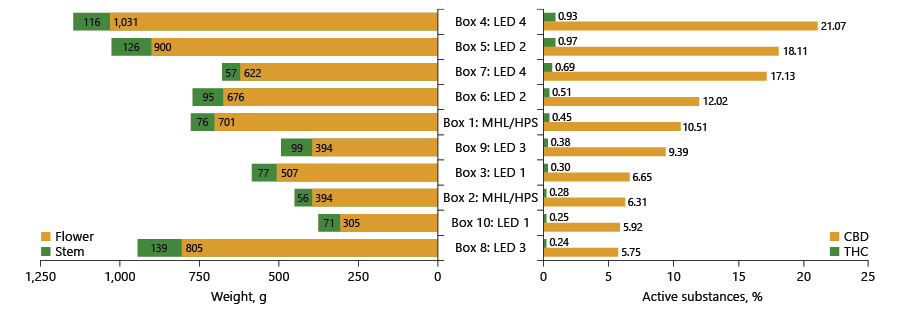 waga i udział procentowy kannabinoidów w badaniu Wpływ spektrum światła na produkcję kannabinoidów