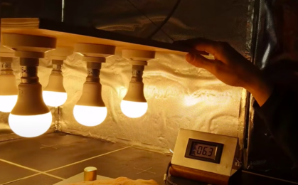 Lampa do uprawy z żarówek LED