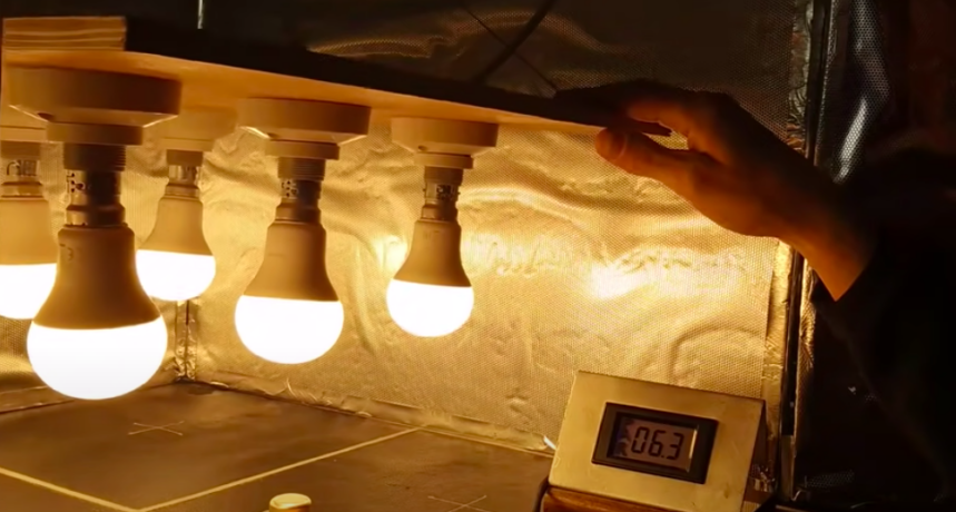 Lampa do uprawy z żarówek LED