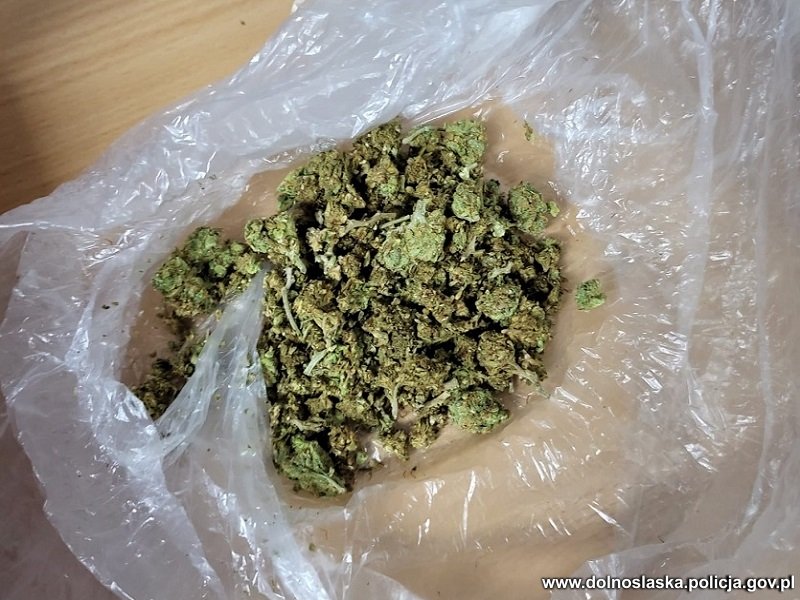 marihuana w foliowej siatce