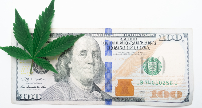 Wysokie wpływy ze sprzedaży legalnej marihuany w USA