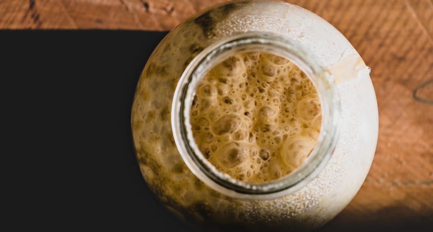 Co mają wspólnego piwo, chleb i kannabinoidy?