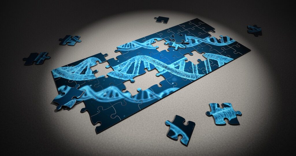 DNA geny puzzle