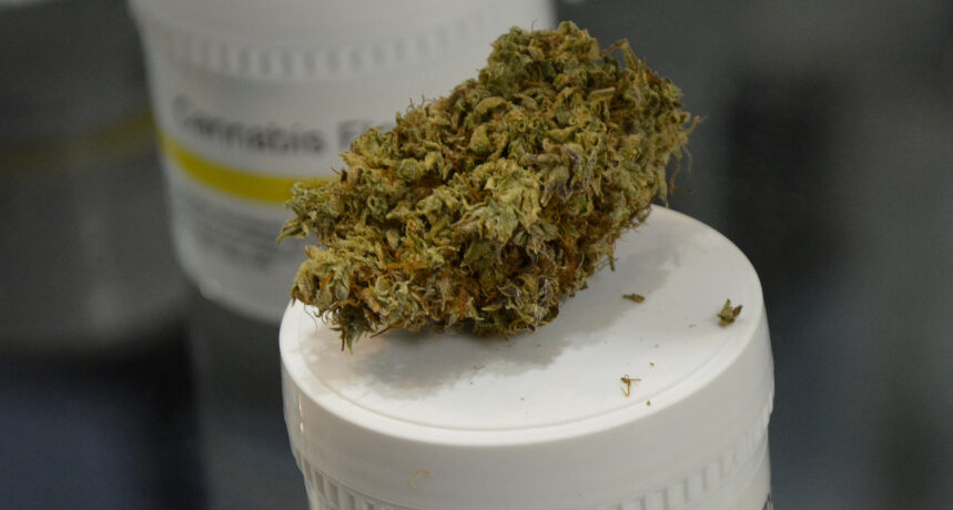 leki na bazie marihuany - susz medyczny