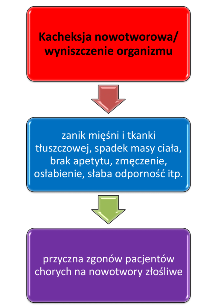 kacheksja-infografika
