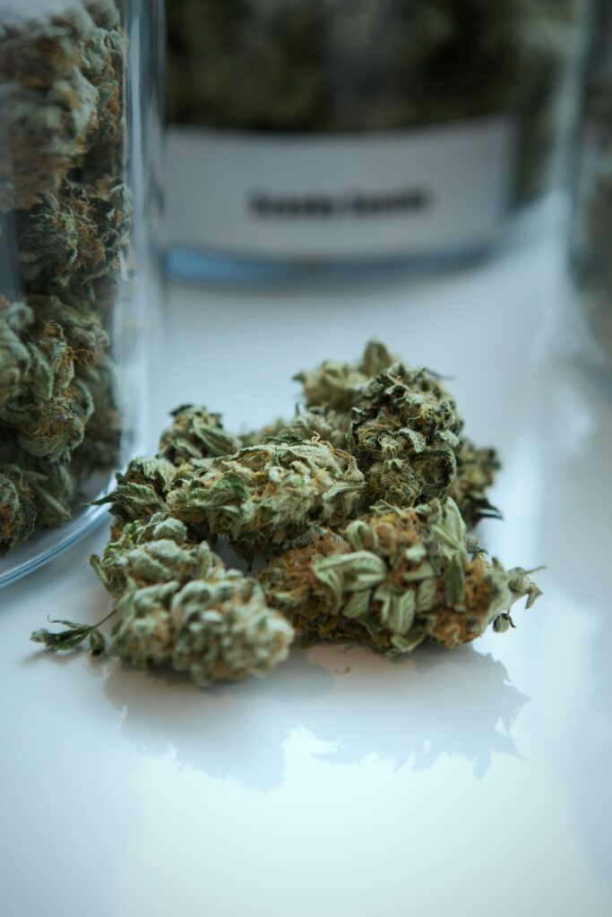 medyczna marihuana susz