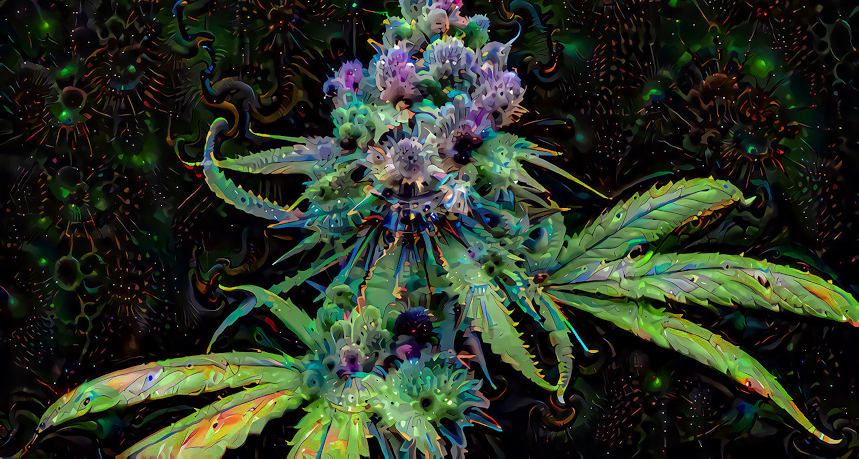 kolorowa marihuana