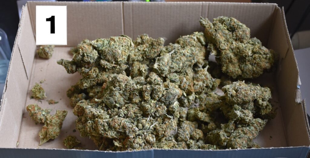 marihuana w kartonowym pudełku
